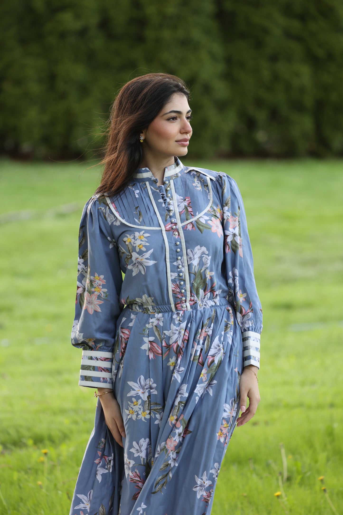 Blue Wisteria Garden Dress